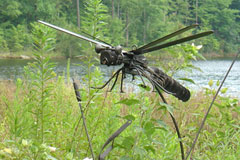 Marsh-dwelling Lisas Dragonfly sculpture